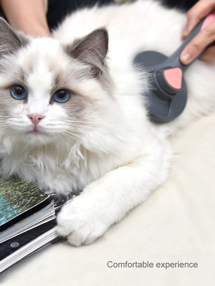 Self-Cleaning Pet Brush with Massages | Dog Slicker Brush for Grooming