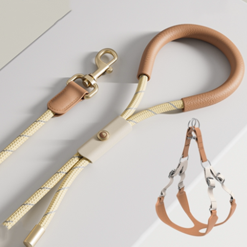 Luxury Leather Leash & Harness- Stylish Walking Leash